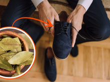 Veja por que você deve colocar uma folha de louro no seu sapato, é poderoso!