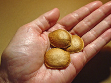 O chá anti-inflamatório feito com uma semente brasileira poderosa e pouco conhecida