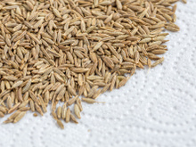 A planta com 9 vezes mais cálcio que o leite e que te ajuda a dormir como um bebê: especiaria em infusão é um relaxante natural