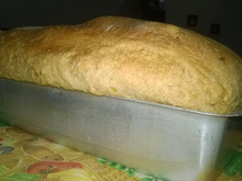 Pão integral especial da Gel