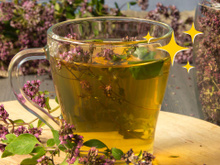 Por que estão falando que o chá de orégano é um dos melhores do mundo? Descubra benefícios e como fazer a bebida