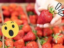 Com essa dica preciosa você vai remover o talo do morango em segundos, sem esforço e sem danificar a fruta. Perfeito, né?