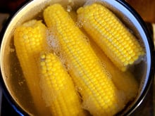 Como cozinhar milho na panela de pressão: confira