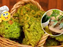 ORA-PRO-NOBIS: 7 formas de usar a planta e usufruir dos seus incríveis benefícios de um jeito bem gostoso