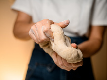 O tipo de pão que pode ser o segredo para uma dieta mais saudável