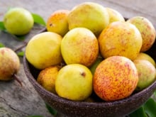 O que é mangaba? Conheça a fruta de polpa suculenta que faz muito bem para a saúde; descubra benefícios!