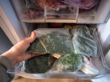 Como manter o aroma dos temperos verdes: método de congelamento que funciona