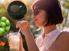 A bebida poderosa de apenas 2 ingredientes que vai te ajudar a eliminar gorduras e melhorar a digestão: nem precisa de liquidificador