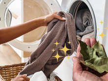 Por que as pessoas estão colocando uma folha de louro na máquina de lavar roupa?