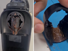 Palavra de técnico especialista em manutenção: o interior da sua cafeteira pode esconder larvas e muita sujeira, saiba o que fazer