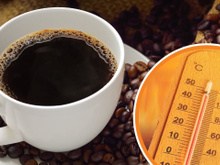 "O problema é que o café é uma planta exigente": como um mundo mais quente ameaça o cultivo de café no Brasil