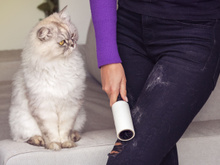 Pelos e fiapos nas roupas nunca mais! Utilize esse truque simples e melhore a lavagem na máquina