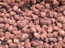 Amendoim de pipoqueiro