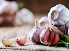 Nunca guarde bulbos de alho inteiros na geladeira - siga o método deste especialista