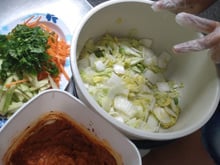 Kimchi Brasileiro