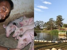Longe dos holofotes, Pelé tinha uma fazenda de 700 hectares, cercada pela Mata Atlântica, onde criava peixes, porcos e gado, um verdadeiro refúgio que foi deixado para sua família