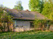 Uma família queria viver exclusivamente de energia solar, água de poço e uma horta. Até que a Itália levou seus filhos embora.