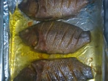 Peixe no forno (tilápia)