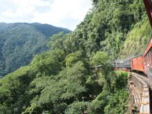 Turismo na estrada de ferro: passeio de trem percorre 27 cidades do Brasil e encanta turistas com paisagens deslumbrantes