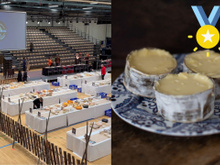 Único queijo brasileiro com “superouro” no World Cheese Awards é de Santa Catarina e não tem lactose