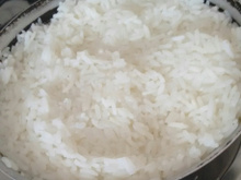 Arroz branco