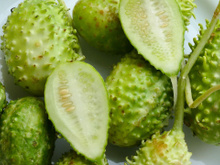 Poucos lembram desse vegetal, mas ele é um dos mais poderosos: aprenda como fazer maxixe de um jeito delicioso