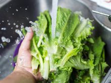 Truques para a salada durar mais na geladeira