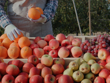 A fruta simples e barata que protege o cérebro, favorece a digestão e faz bem ao coração