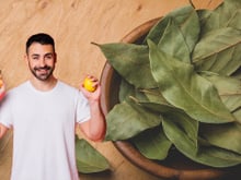 Adeus mosquitos: pique uma folha de louro em um limão e tenha um tesouro contra insetos