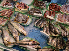 Semana do Pescado tem preços especiais e descontos em tilápia, camarão, atum e mais: saiba como funciona