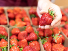 Faça os morangos durarem mais em casa com essas dicas infalíveis