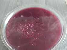 Sagu de sachês de suco de uva