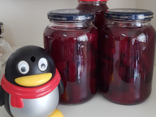 Beterraba na conserva