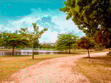 Interior de São Paulo tem festival de gastronomia com pratos especiais até esta terça-feira; confira!