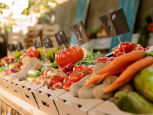 Lista de ouro: 10 alimentos com poucas calorias que matam a fome e cabem no bolso do brasileiro