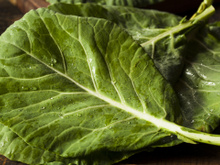 Esse é o jeito certo de guardar a couve e conservá-la fresca por mais tempo