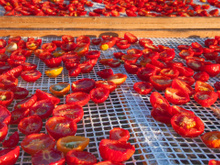 Os benefícios dos tomates secos ao sol e como fazer a iguaria saudável riquíssima em potássio