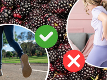 Ouro violeta: a fruta que gera colágeno, fortalece os ossos e acaba com todas as dores