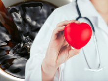 Purifica o sangue e melhora a função cerebral: neurologista revela os alimentos que come todos os dias