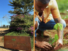 Bruno Gagliasso transformou o Rancho da Montanha, em Memembeca, no interior do Rio, em um projeto de regeneração ambiental, com milhares de mudas nativas para reflorestar a Mata Atlântica e uma estrutura voltada à preservação e à vida sustentável