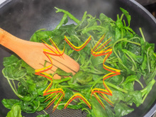 Explosão de benefícios: conheça as vantagens do espinafre, um dos alimentos mais saudáveis do mundo