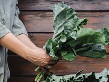 Que grupos de pessoas não devem consumir couve, um vegetal rico em vitaminas?