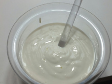 Falso iogurte para dieta da proteína