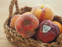 Frutas apodrecendo rápido demais? O culpado costuma ser este vegetal comum que você guarda na geladeira
