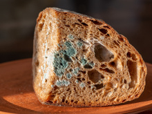 O que acontece se eu comer a parte boa de um pão mofado?