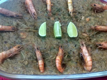 Caruru baiano