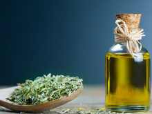 Óleo de orégano: para que serve, como tomar e por que ele é tão queridinho da saúde natural