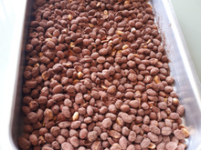 Amendoim praliné