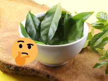 Ora-pro-nóbis: planta é mesmo uma proteína? Descubra poderes desse macronutriente