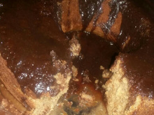 Bolo de chocolate sem ovos com cobertura